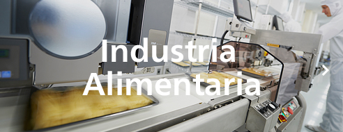 Industria Alimentaria.
