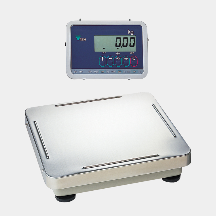 ds - 166 wp01
