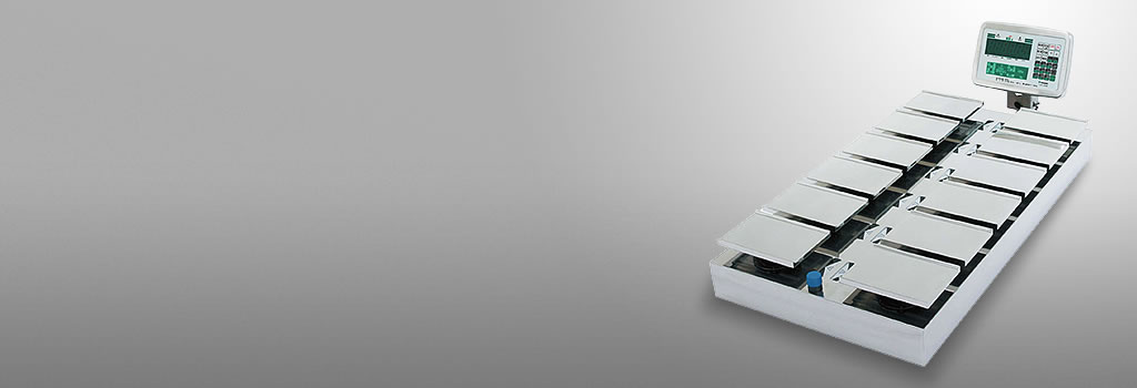 tcs - 205 ws02
