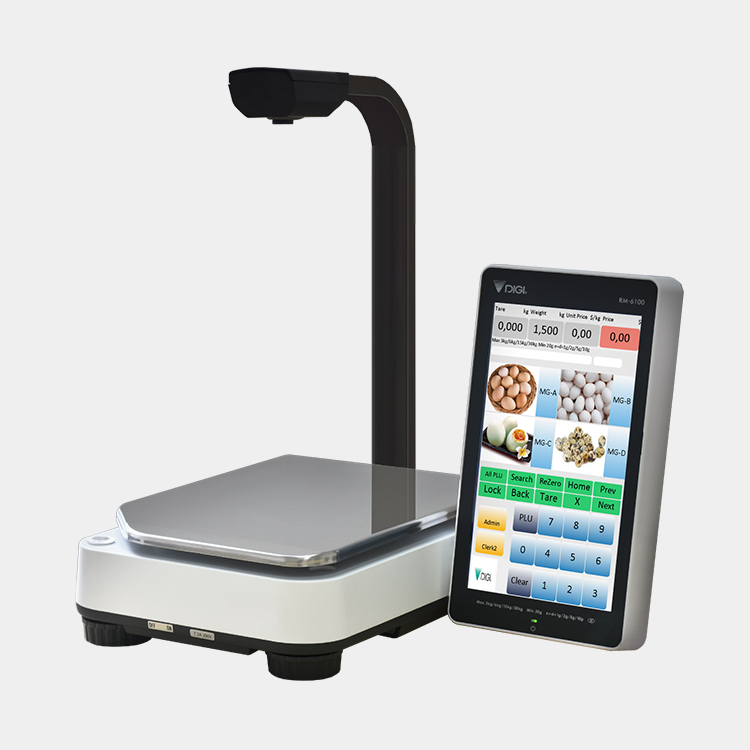 RM6100_AI_WP01