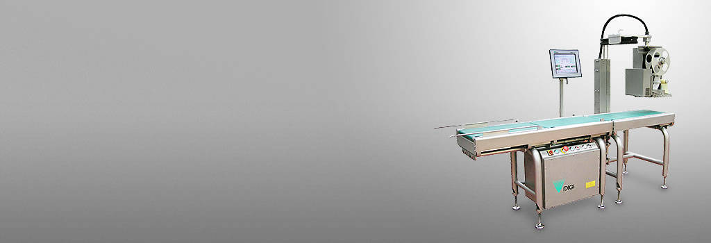 - 700 wp02