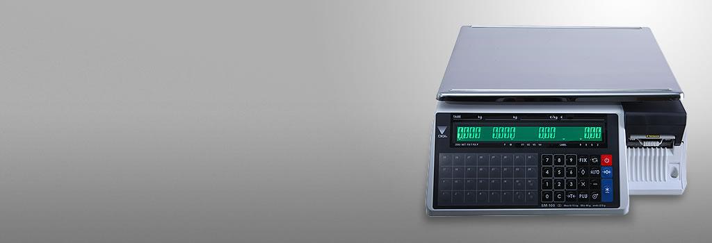 sm - 100 - cs - ws02