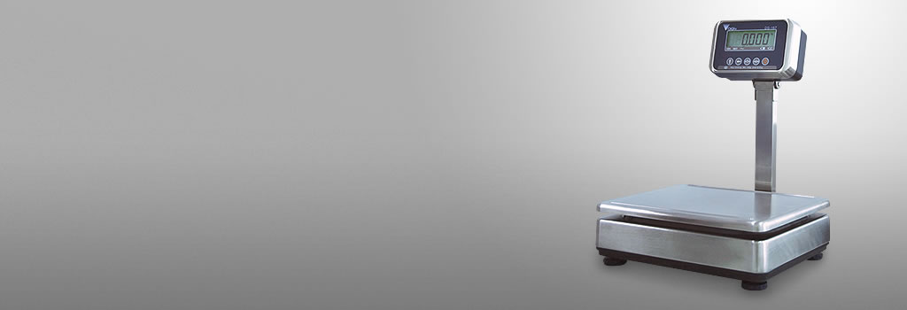 DS-167-WS02