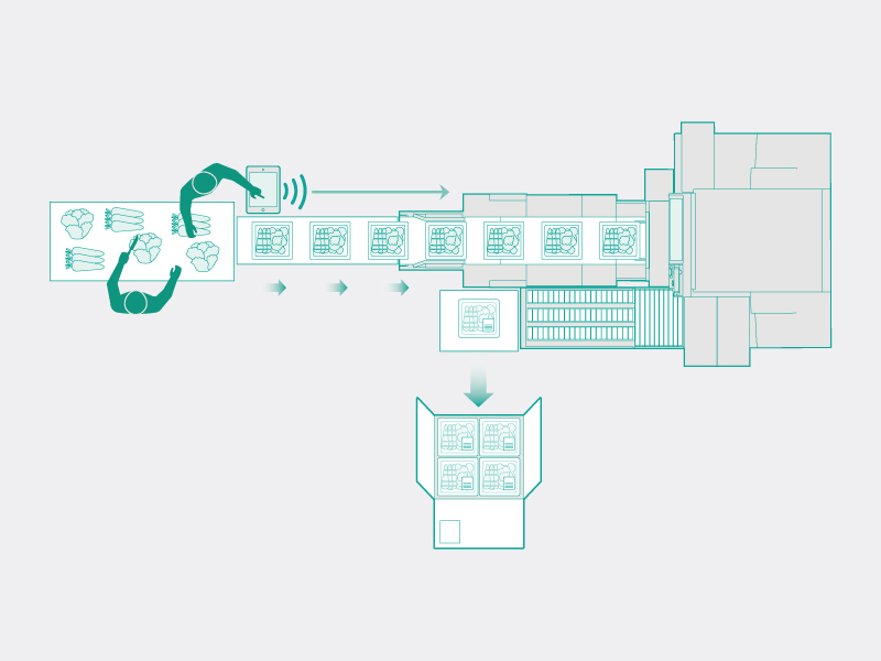 aw5600-2_a-i_wp04_01