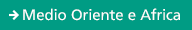 Medio Oriente E非洲