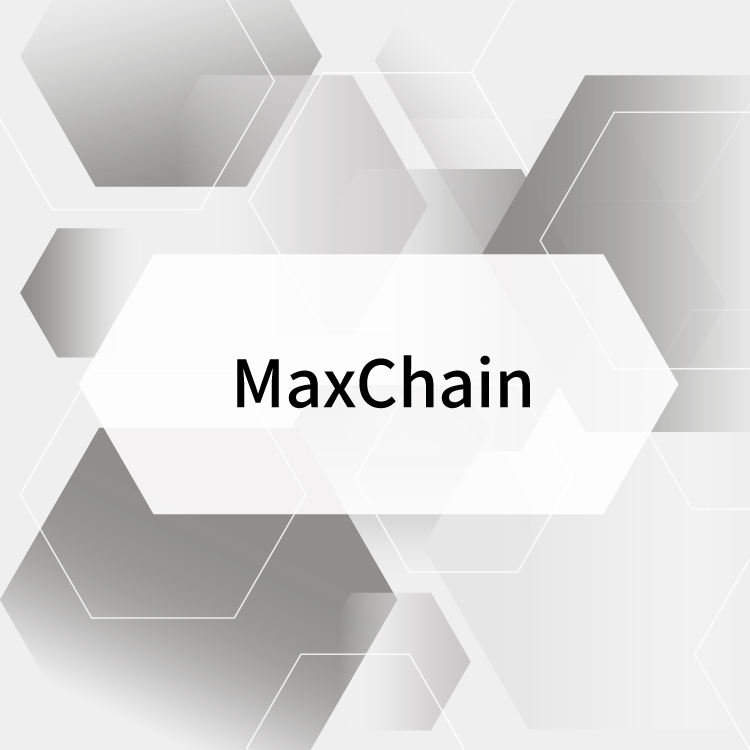 MaxChain-WP01型