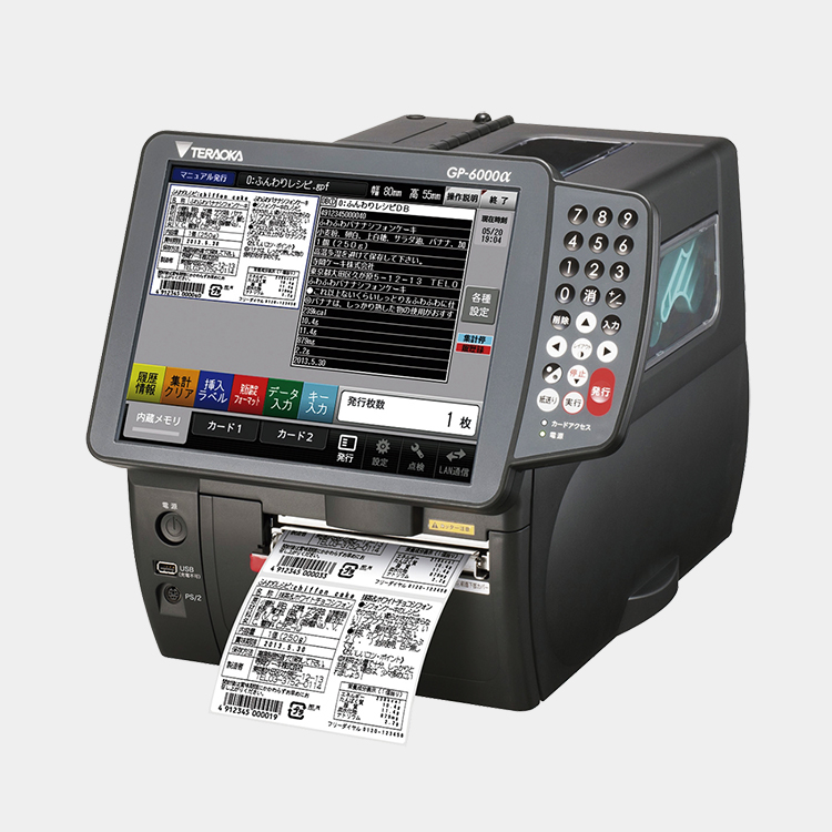 gp - 6000α-WP01